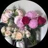 dottiesmom503